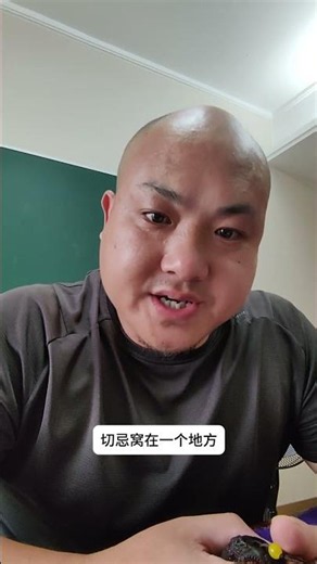 给八字中寅申巳亥多的人三点建议 #八字 #感情 #易经#八字 #八字命理 #四柱推命 #正能量 #分享 #八字教學 #八字基礎