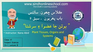 3K views · 162 reactions | Plant Tissues and Systems| Science Class 6| Chapter 1| Lecture 8| by Nana Abid| Sindh Online School وڌيڪ وڊيو سبقن لاءِ هيٺ ڏنل لنڪ تي ڪلڪ ڪري اسانجو يوٽيوب چينل سبسڪرائب ڪريو www.youtube.com/sindhonlineschool | Sindh Online School | Facebook
