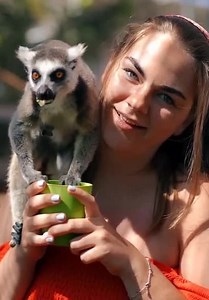 Early Humans S02:E06 - Exploring the Origins of Humanity: A Complete Timeline of Human Evolution