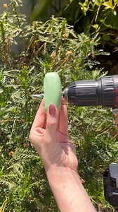 3.1K views · 19 reactions | DIY bug repellent This video was created by Network Media, Hackity Hack Club, and Marissa M. | Hackity Hack Club | Facebook