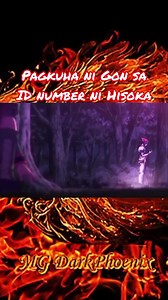 23K views · 138 reactions | Tugisan ng mga ID Number (Pagkuha ni Gon sa ID Number ni Hisoka) | MG DarkPhoenix | Facebook
