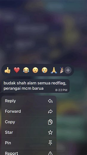 Understanding the Selangor Red Flag Trend