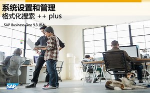 平台字段互刷分享 - SAP Business One 辅助管理平台运用