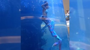Mermaid's tail gets caught on reef while trying to reach the surface