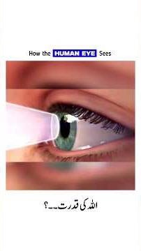 Quran and Science ✅️ | #facts #islam #quran #quranandscience #shorts