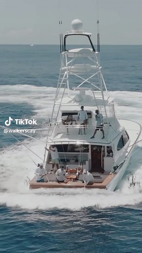 Bucket list item: ✅ capturing a blue marlin jumping at the Walkers Cay tournament #sportfish #foryou #foryoupage #fyp #bahamas #yacht #yachtlife #fish #fishing #deepseafishing #bahamas