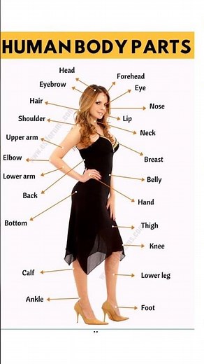 Body Parts Name in english |Body parts name for kids