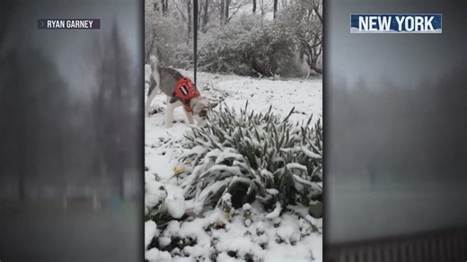 Freeze warnings issued for 81 million as snow, hail return in April