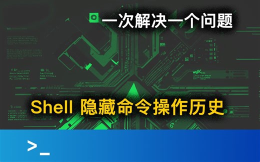 隐藏命令操作历史丨shell