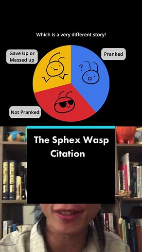 The Sphex Wasp Citation #cogsci #learnontiktok #science101