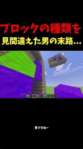 ブロックの種類を見間違えた男の末路...