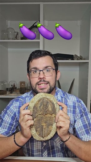 Trilobite: an animal with 3 lobes, not 3...