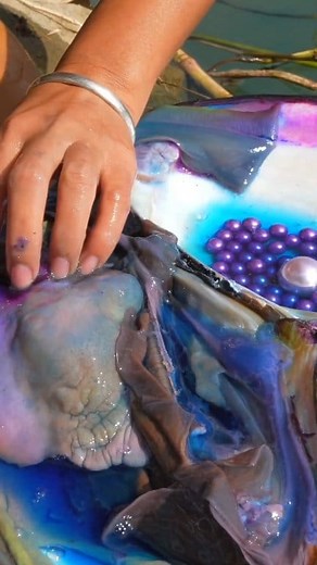 18K views · 304 reactions | Part 357 Clam’s Gift: A Diamond Worth a Fortune #pearlhunter #pearls #pearl | Digging life | Facebook