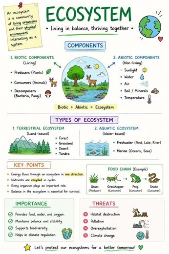 🌿 What is an Ecosystem? #education #neetbiology