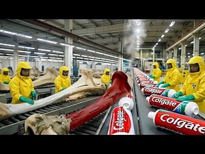 From Animal Bones to Toothpaste – Inside a Shocking Industrial Process