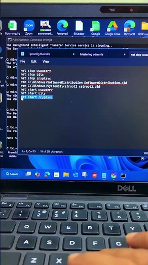 🚀 Fix Windows Update in Seconds | Reset Windows Update Components 🔧