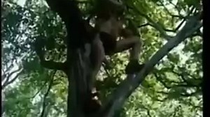 Tarzan X Shame Of Jane-Mv Movie