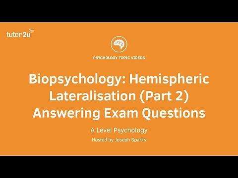 Revision Webinar: Biopsychology – Hemispheric Lateralisation (Part 2) Answering Exam Questions