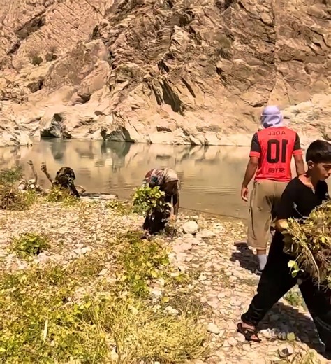 Mountain River Fishing in Iran Nomadic Family Catches Huge Fish with Traditional Net | Nomadic Travel