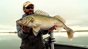 23K views · 185 reactions | Whether you like it or not, our lakes and rivers are changing, and walleye fishing is changing as a results. You need to change the way you fish if you want to have continued success on the water. | Lindner's Angling Edge | Facebook