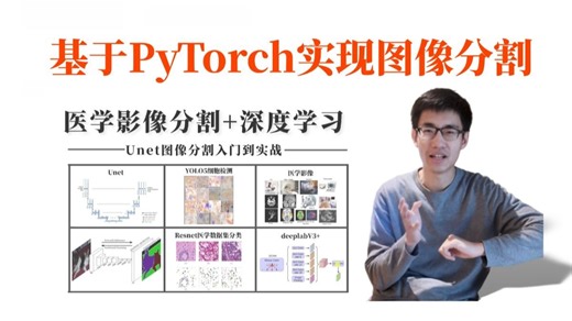 硕士如何使用PyTorch实现图像分割？博士通俗讲解Unet+deeplab+mask2former及其改进项目实战！Resnet医学、细胞分割、语义分割、深度