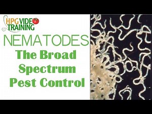 Nematodes: The Organic Broad Spectrum Pest Control -Beneficial Insects Series Part 4