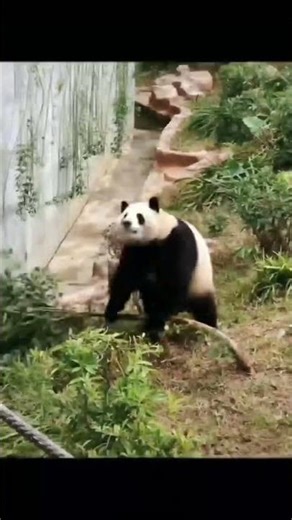 Correct selection of PVC processing aids