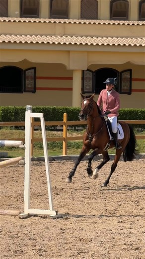 VLOG 5 : STAGE ÉQUESTRE EN ÉGYPTE 🇪🇬🤩🏆 Day 5 du stage de perfectionnement équestre en Égypte, et aujourd’hui c’était journée compétition 🏆 L’objectif était de mettre en pratique tous les conseils des jours précédents, car en compétition tout devient plus rapide, plus stressant… Il fallait donc réussir à se surpasser et à prendre du plaisir à 2000 % ✨ Avec de magnifiques lots : @gpa_safety_legend @forestiersellier @jump_your_hair @wowstoreofficial 🤩 Un immense merci à mes partenaires de me 