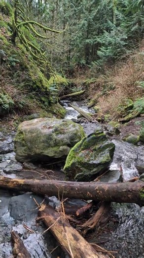 Hiking in Washington #pnw #outdoors