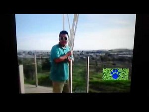 Blue's Clues - 3 Clues from "St. Patrick's Day"