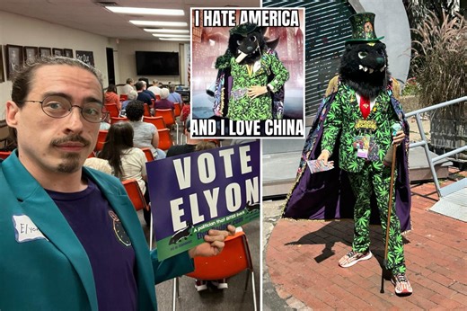 Michigan furry ‘Elyon Badger’ running for US Congress on Democratic ticket: ‘Bullying the old f–ks’