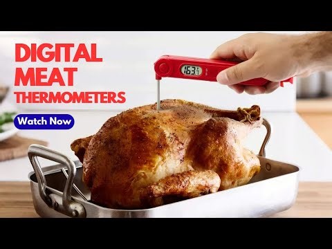 The 5 Best Digital Meat Thermometers of 2025 (Unlimited Buying Guide)
