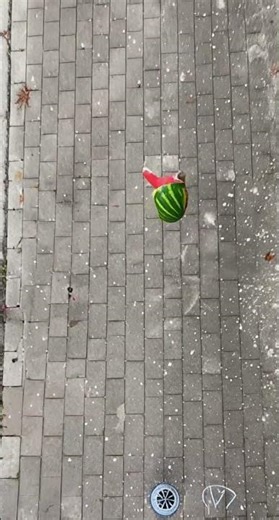 Watermelon Drop Test. Survive or Not? 🍉😳