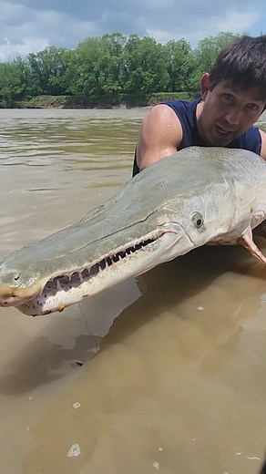 450K views · 12K reactions | Fish that can breath air! Alligator Gar Prehistoric fish in Texas! #texas | Wild Charles | Facebook