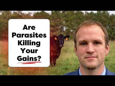 Parasite Control Tips That Boost Profits - Dr. Daniel Cummings