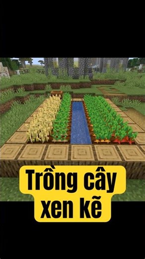Trồng cây xen kẽ #minecraft