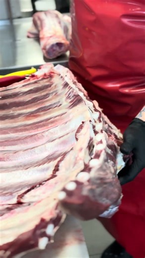 Fabrication of the veal loin and sirloin section #shortvideo #meat #food #cuttingskills