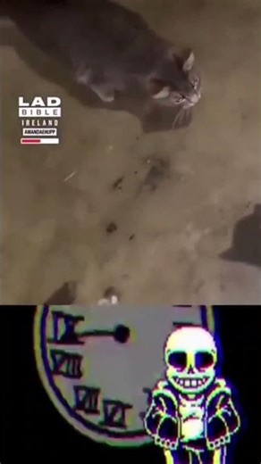 sans undertale memes #undertale #sansmeme #memes