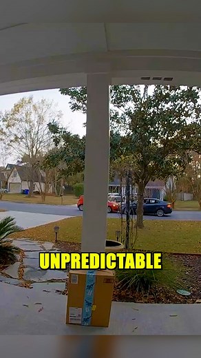 Bizarre Head-On Car Collision Caught on Camera A security camera captured a strange accident where one car kept nudging another while it reversed. Chaotic, unusual, and almost comical—this scene is a reminder to stay alert on the road. 🚗⚠️ #foryou #fyp #caraccident #roadsafety #unusualfootage | Dash Crash