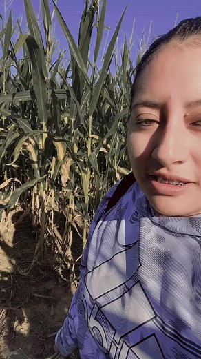 Marybel Patiño (@marybel289)’s videos with Alaska - Camilo & Grupo Firme