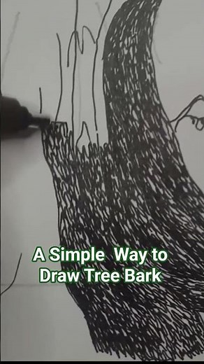 Pen and Ink Drawing - A Simple Way to Draw Tree Bark
