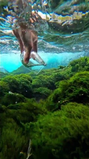 peacefull 💖 sukkoon #shorts #unfrezzmyaccount #androidgameplay