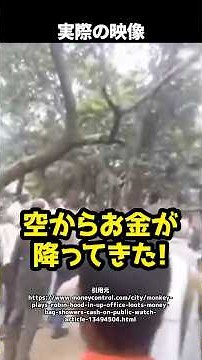 "Money fell from the sky!" The culprit? A monkey in a tree!? A chaotic scene unfolds as a crowd s...