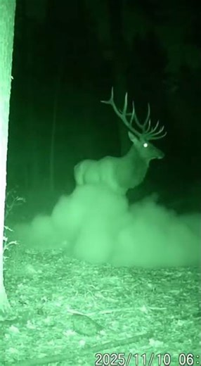 Trail Cam Catches Alien Beam on Ridge