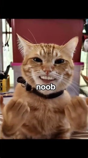 noob vs pro vs hacker vs God #shorts #memes