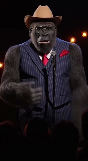 Gorilla standup comedy #funny #comedy #gorilla