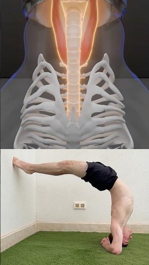 Wall-assisted bridge restores spinal extension, opens chest & hips, engages the back to support arch