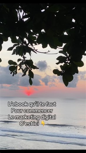 Votre succès dépend uniquement de votre capacité à passer à l’action …. #marketingdigital #businessenligne #businessdigital #marketingtips #tips #RevenuPassif #10ktrend #Monétisation #pourtoii #travailenligne