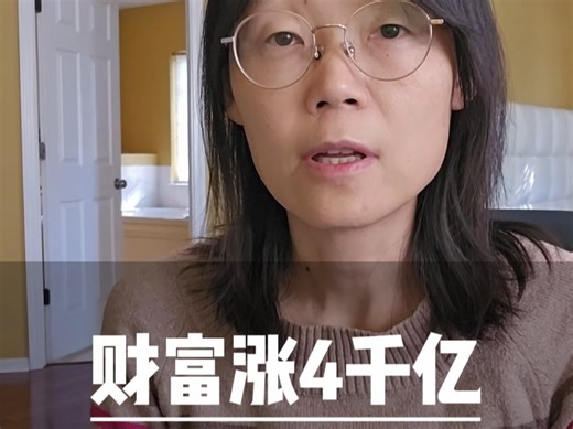 不到一年财富涨了4千亿 他们干啥了？ 这波最大的受益者#教育#AI#人工智能#财富#AI基础设施#股票#数据中心