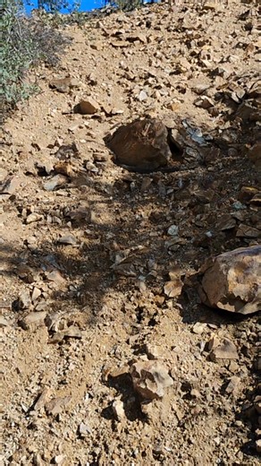 Elijah White on Reels